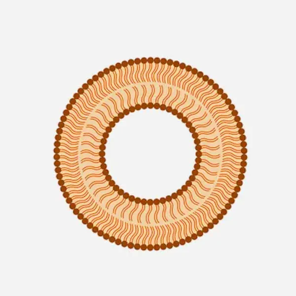 Pronanosome Liposome