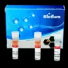 NucView® 530 Caspase-3 Substrate,1 mM in PBS