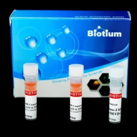 NucView® 530 Caspase-3 Substrate,1 mM in PBS