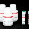 Apoptosis and Necrosis Quantitation Kit Plus - 50 assays