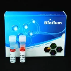 NucView® 488 & MitoView™ 633 Apoptosis Assay Kit