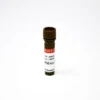 PMA (Propidium Monoazide) - 1 mg