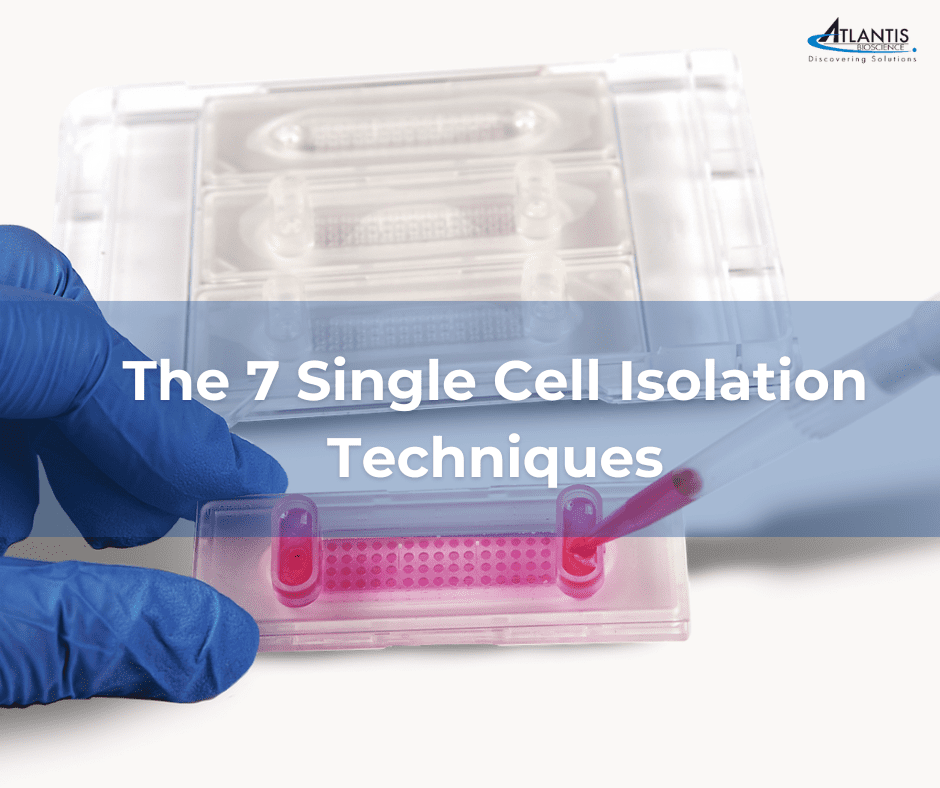 The 7 single cell isolation techniques