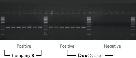 comparative experiment : duxcyclwer & company B