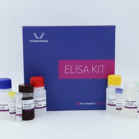 Human TNFa (Tumor Necrosis Factor Alpha) ELISA Kit