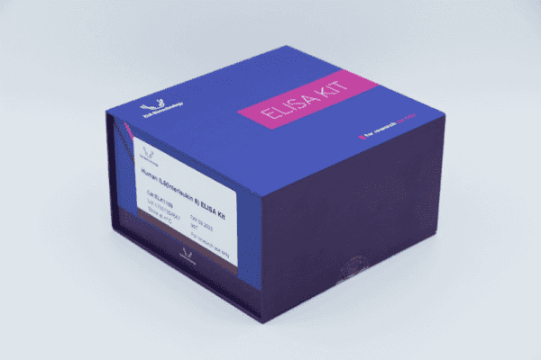 General PGE2(Prostaglandin E2) ELISA Kit - Image 5
