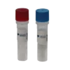 HRP-conjugated Secondary Antibodies