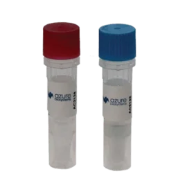HRP-conjugated Secondary Antibodies