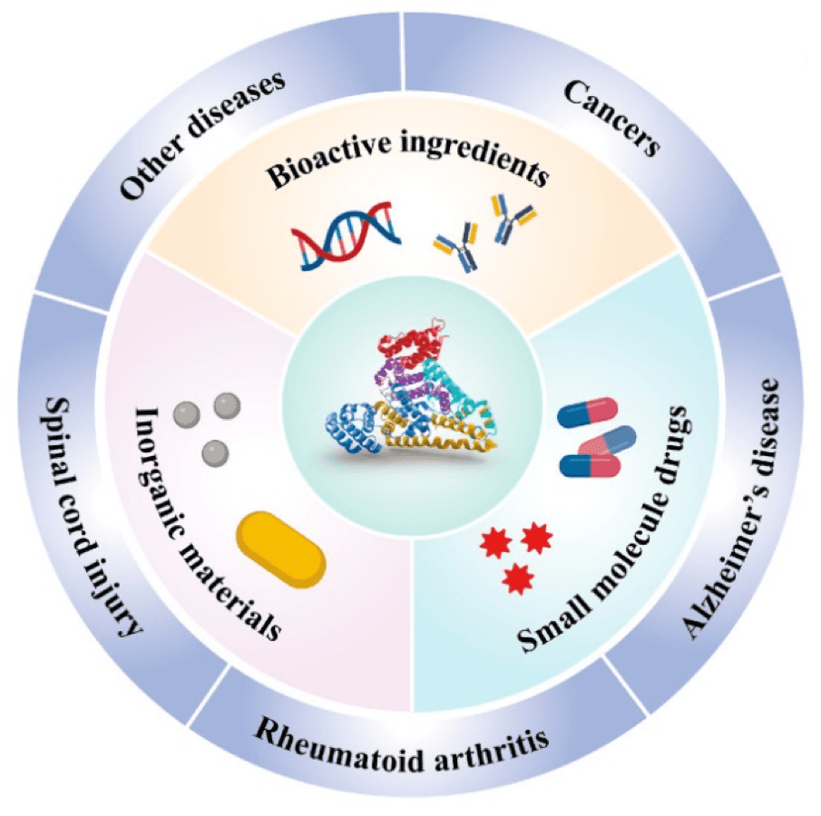 Applications of using HSA-based nanocarriers for the delivery of therapeutic agents