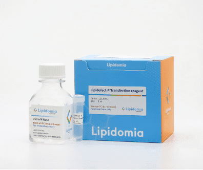 Lipidofect-P Polymer-based Transfection Reagent