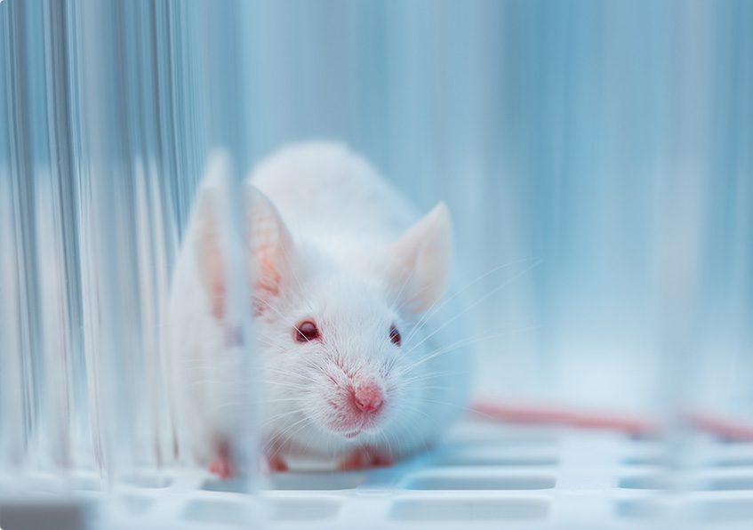 Progressive Muscular Dystrophy Mouse Models