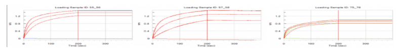 Kd measurement by protein A based capture approach for Algorithm guided antibody design of an antibody.