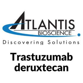 Trastuzumab deruxtecan