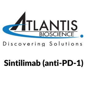 Sintilimab (anti-PD-1)