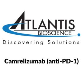 Camrelizumab (anti-PD-1)