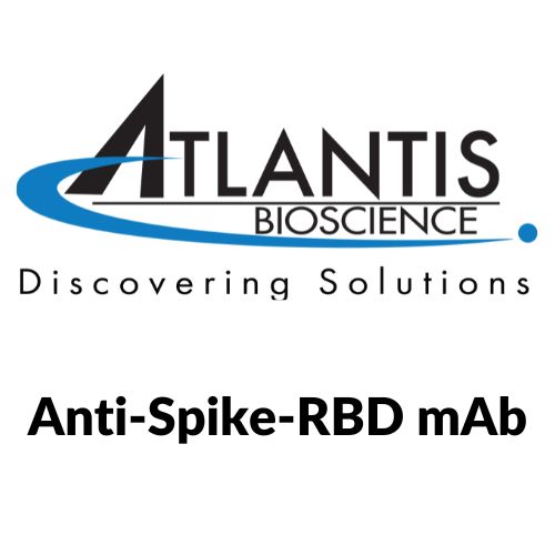 Anti-Spike-RBD mAb