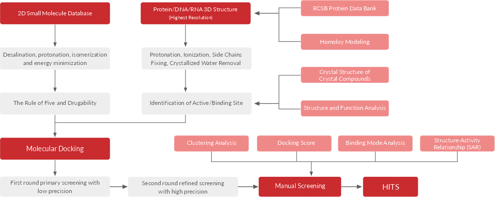 Molecular docking-based virtual screening process flow chart