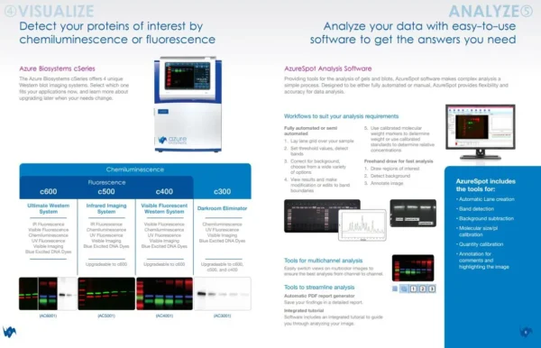 Radiance Plus - Image 7
