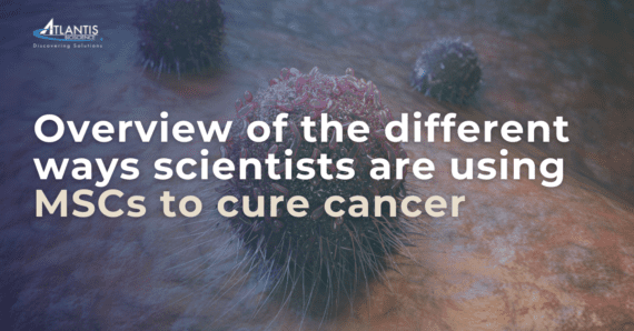 Overview of the different ways scientists are using MSCs to cure cancer