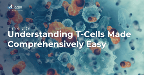 T-Cells 101: Understanding T-Cells Made Comprehensively Easy