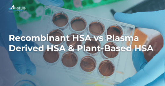 Recombinant human serum albumin vs plasma-derived human serum albumin