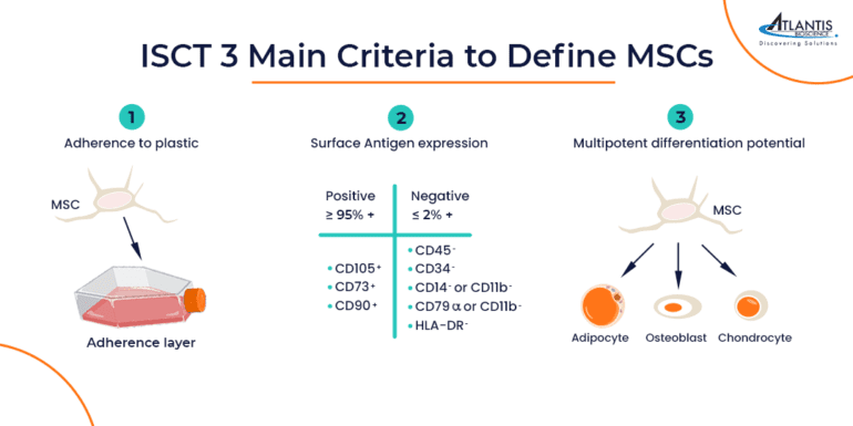 ISCT main minimum criteria for defining mesenchymal stem cells (MSC) for biomedical studies and cell therapy