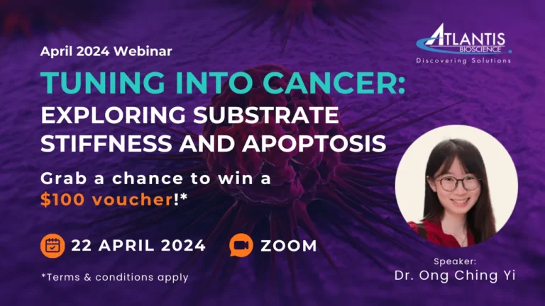 TUNING INTO CANCER_ Exploring Substrate Stiffness and Apoptosis_April 2024