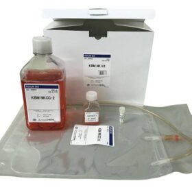 Kohjin Bio KBM NK 试剂盒用于从 PBMC 中培养 NK 细胞