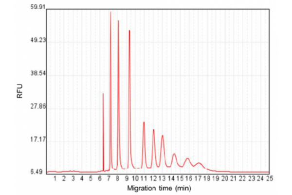 Croyez High Range RNA Ladder - Image 2