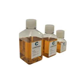 1 Bottle GMP Human Lysate (Reward)