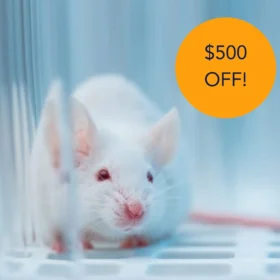 $500 off Animal Mouse Model (Reward)