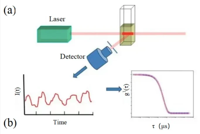 DLS diagram
 