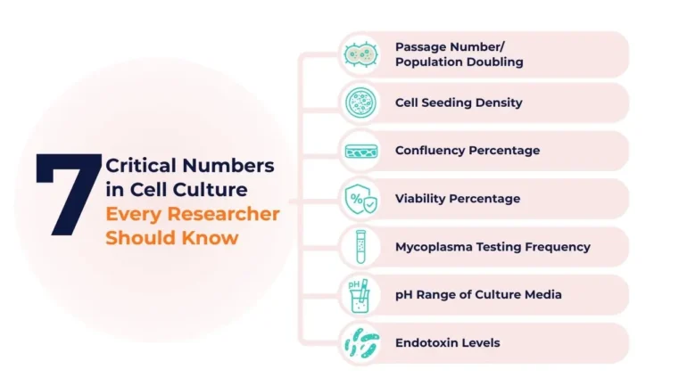 Infographic showing 7 critical cell culture metrics every researcher should track, including passage number, cell seeding density, confluency percentage, viability percentage, mycoplasma testing frequency, pH range of culture media, and endotoxin levels. Features labeled icons for each parameter in teal on a light background, with emphasis on essential cell culture quality control standards.