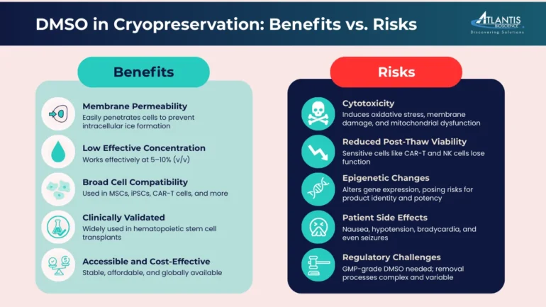 Infographic comparing benefits and risks of DMSO in cryopreservation for cell and gene therapy. Highlights DMSO advantages like membrane permeability, low concentration effectiveness, broad cell compatibility, and clinical validation. Lists risks including cytotoxicity, reduced post-thaw viability, epigenetic changes, patient side effects, and GMP regulatory challenges