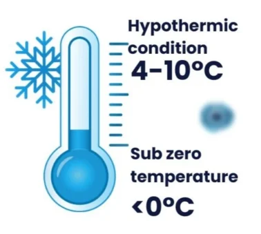 What sets CryoEase-PF apart is its dual-temperature compatibility—the only cryomedia designed for both long-term storage in vapor-phase liquid nitrogen (-150°C) and short-term stability at 4°C for up to 72 hours. 