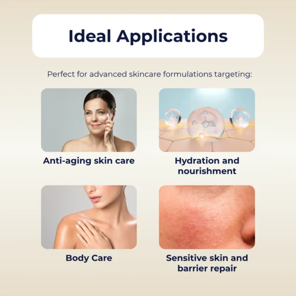 Visual guide showing EXO DDS Bakuchiol’s skincare applications including anti-aging, hydration, body care, and sensitive skin repair.