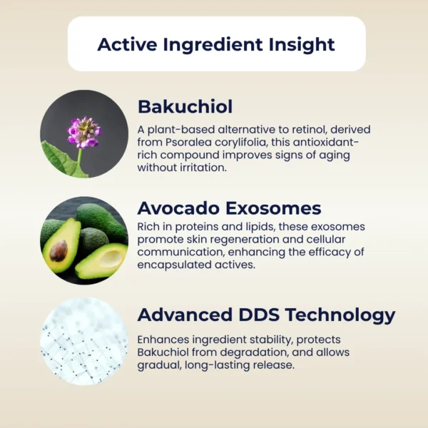 Overview of key actives in EXO DDS Bakuchiol, highlighting plant-based Bakuchiol, avocado exosomes for regeneration, and advanced DDS technology for deep delivery.
