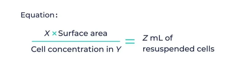 Equation: X times surface area divided by cell concentration in Y equals Z mL of resuspended cells. Used to calculate how much volume of cell suspension is needed for seeding.