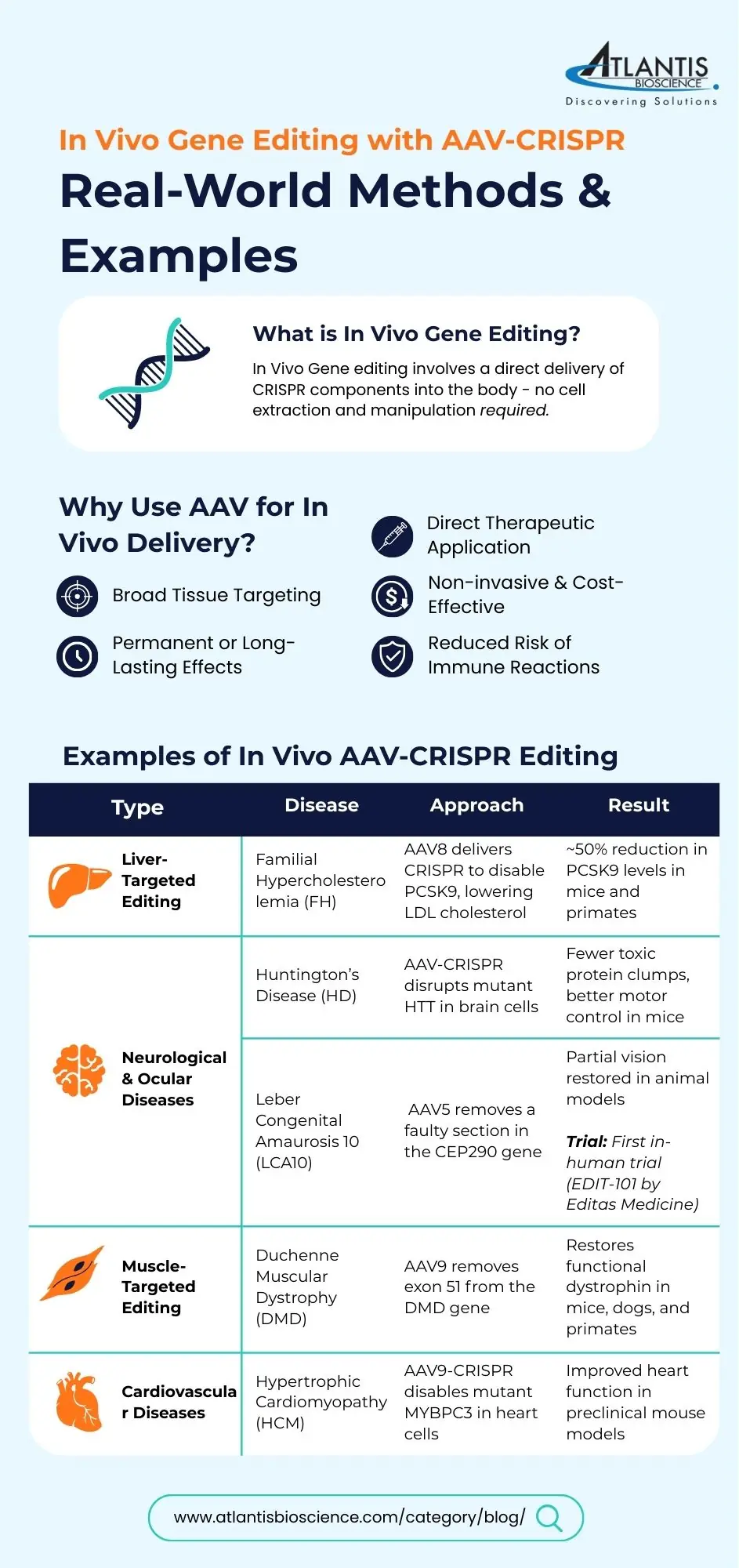 Infographic explaining in vivo gene editing using AAV-CRISPR, including its benefits like targeted delivery and long-lasting effects. Highlights real-world applications in liver, muscle, brain, eye, and heart diseases, with examples such as familial hypercholesterolemia, Huntington’s, LCA10, DMD, and hypertrophic cardiomyopathy.