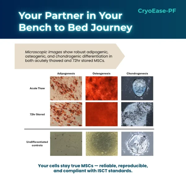 Microscopic images showing successful adipogenic, osteogenic, and chondrogenic differentiation in MSCs stored using CryoEase-PF, both freshly thawed and after 72 hours.