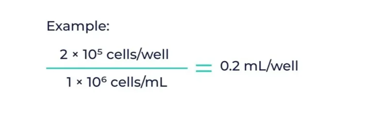 Example: 2 × 10⁵ cells per well divided by 1 × 10⁶ cells per mL equals 0.2 mL per well. This shows how to calculate the volume needed to seed cells from a known concentration.