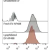 EVSafe Lyophilization Buffer product cover