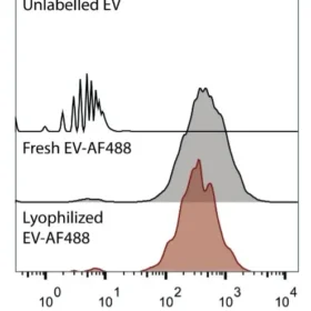 EVSafe Lyophilization Buffer product cover