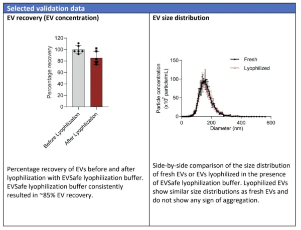 Bar chart and line graph comparing EV recovery and size distribution before and after lyophilisation using EVSafe Lyophilization Buffer.