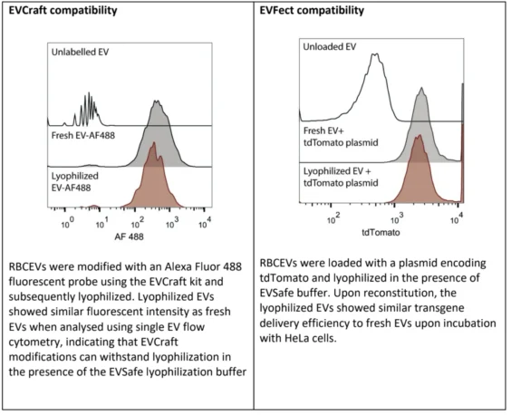 Flow cytometry histograms showing fluorescent signal intensity of EVs modified with EVCraft or EVFect kits before and after lyophilisation with EVSafe buffer.