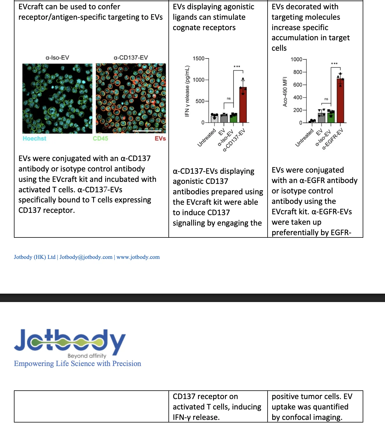 Microscopy and bar graphs showing targeted EV binding to T cells, stimulation of IFN-γ release, and preferential uptake in EGFR-positive cells.