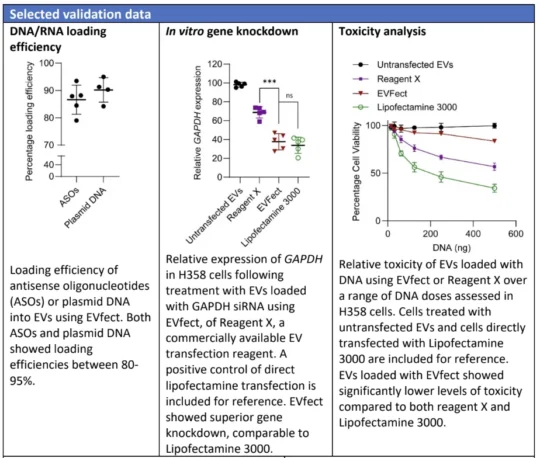 Graphs showing nucleic acid loading efficiency into EVs, GAPDH gene knockdown in vitro, and toxicity analysis comparing EVfect with other reagents.