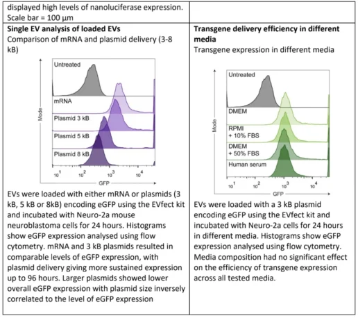Flow cytometry histograms comparing mRNA and plasmid delivery efficiency and the effect of different culture media on transgene expression.