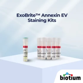 ExoBrite™ Annexin EV 染色试剂盒封面图片