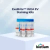ExoBrite™ WGA EV 염색 키트 표지 이미지